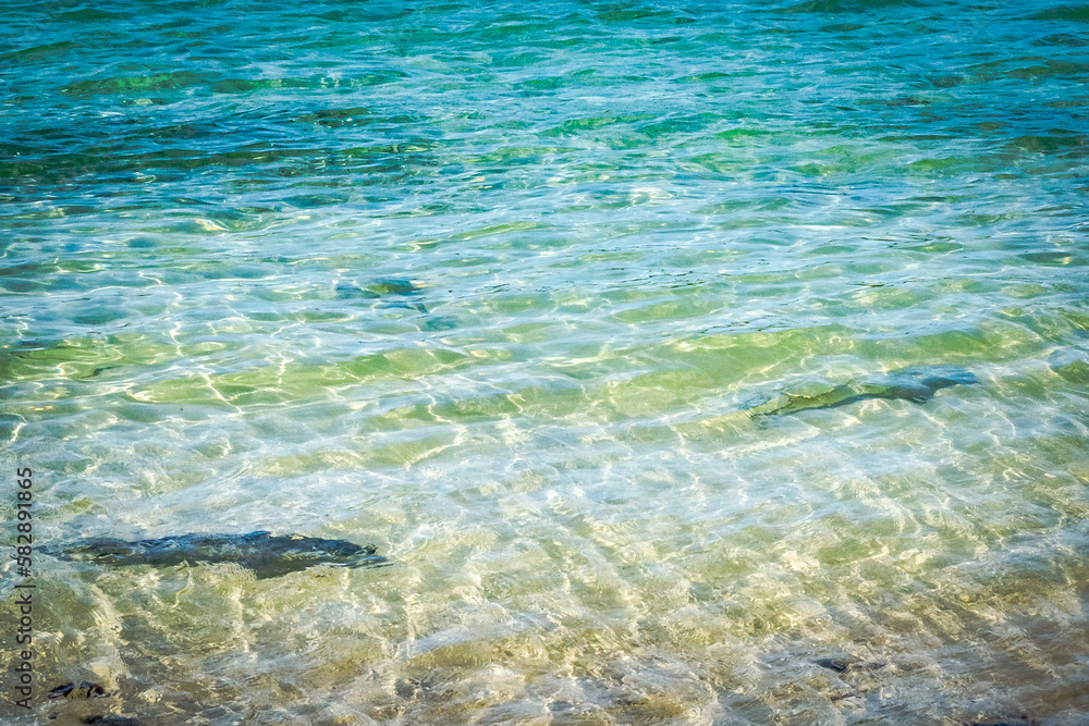 Fernando de Noronha Island - Pernambuco state, Brazil - March 2023 Fernando de Noronha Island - Pernambuco state, Brazil - March 2023