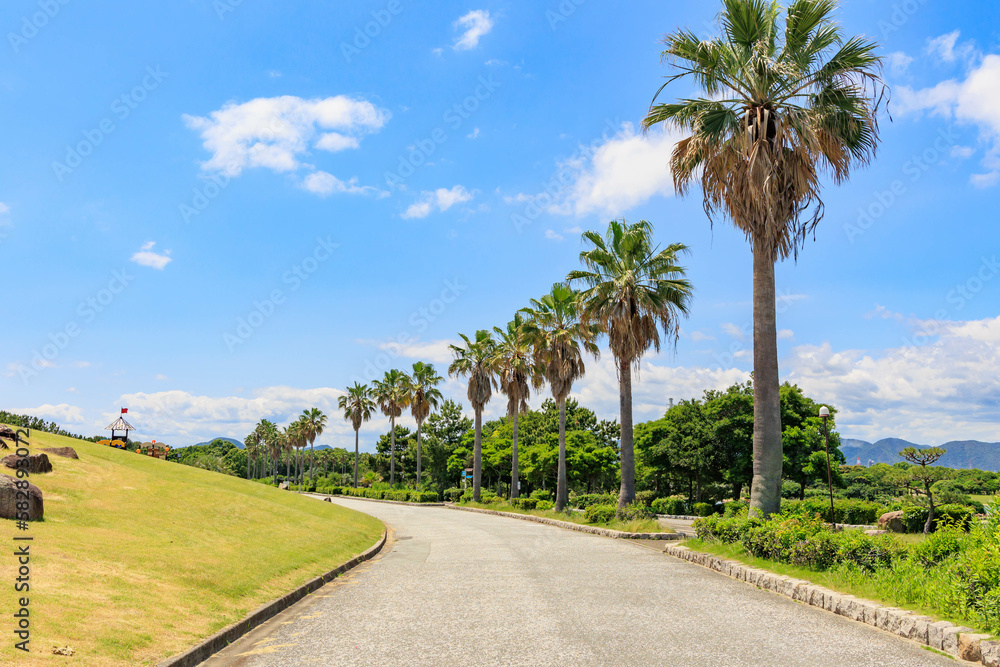 沖縄の南国イメージ