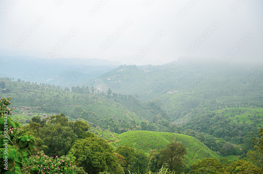 Fototapeta premium Misty mountains