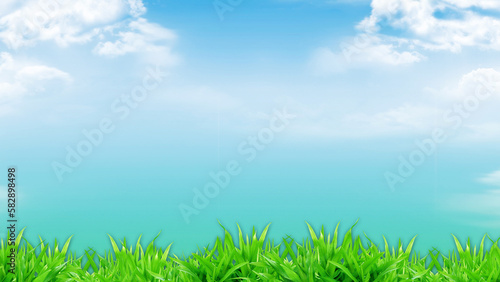 green grass against blue sky and clouds with beautiful bokeh, wallpaper for background and design