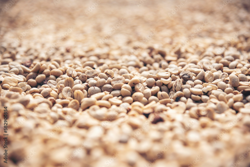 Raw coffee beans heap dry green seed unroasted grain in eco farm. Aroma espresso farm plant coffee bean agriculture objects. Sun dried Freshness Arabica processing harvest black coffee Raw coffee beans heap dry green seed unroasted grain in eco farm. Aroma espresso farm plant coffee bean agriculture objects. Sun dried Freshness Arabica processing harvest black coffee