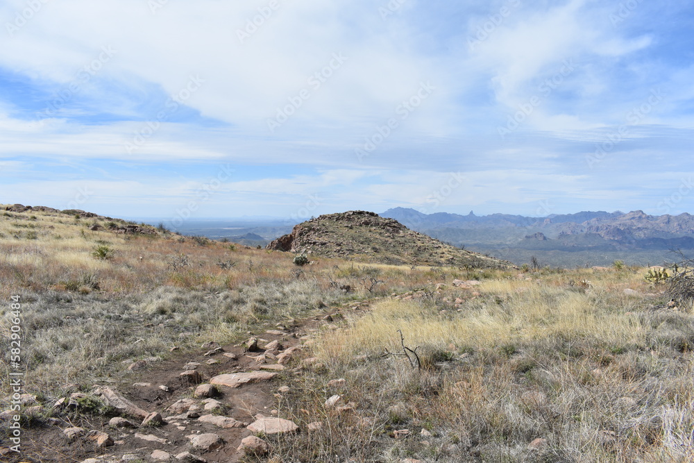 Fototapeta premium Wilderness at Top of Picketpost Mountain in Arizona 