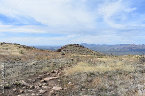 Wilderness at Top of Picketpost Mountain in Arizona 