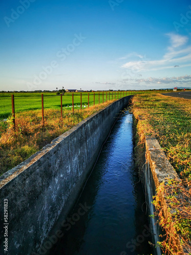 Paddy field with water drainage system during day time. Selective focus.