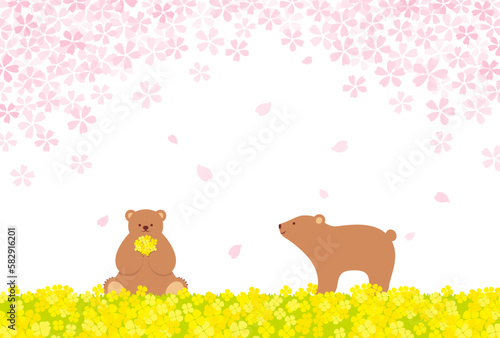 vector background with bears, cherry blossoms and canola flower field for banners, cards, flyers, social media wallpapers, etc.