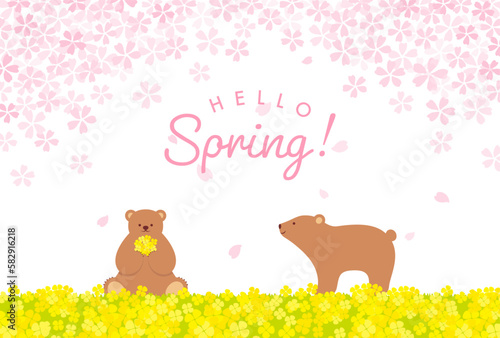 vector background with bears, cherry blossoms and canola flower field for banners, cards, flyers, social media wallpapers, etc.
