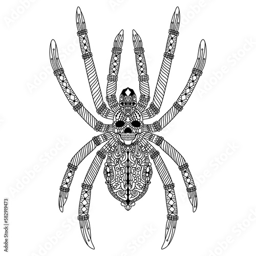 Hand drawn of spider in zentangle style