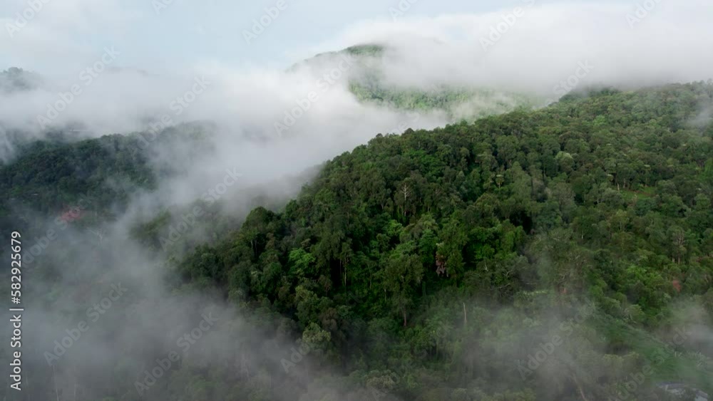 Top view Landscape of Morning Mist with Mountain Layer at north of Thailand. mountain ridge and clouds in rural jungle bush forest Top view Landscape of Morning Mist with Mountain Layer at north of Thailand. mountain ridge and clouds in rural jungle bush forest