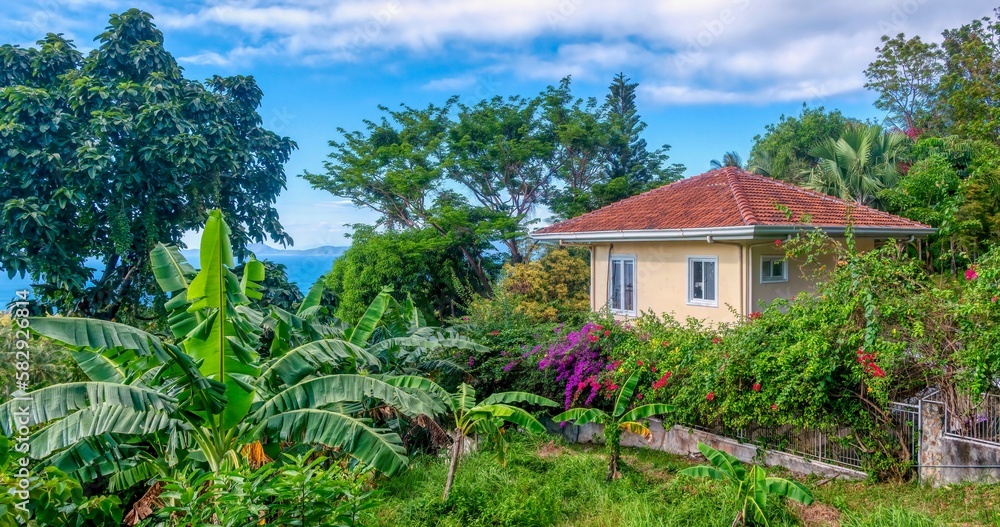Street view of a house on a hill overlooking the sea in the Philippines, surrounded by a lush, tropical garden filled with greenery and colorful bougainvillea flowers. Banana plants in foreground.