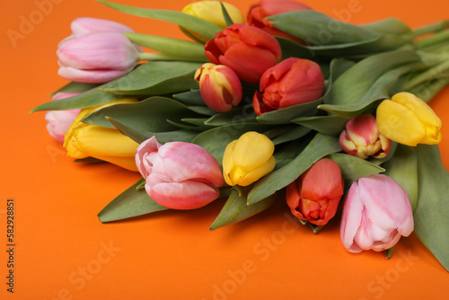 Beautiful colorful tulips on orange background, closeup