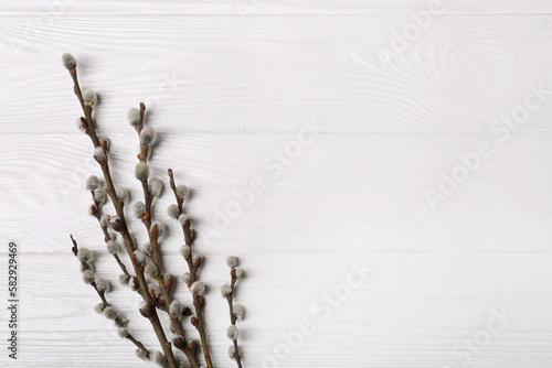 Beautiful willow branches with fuzzy catkins on white wooden table, flat lay. Space for text photo