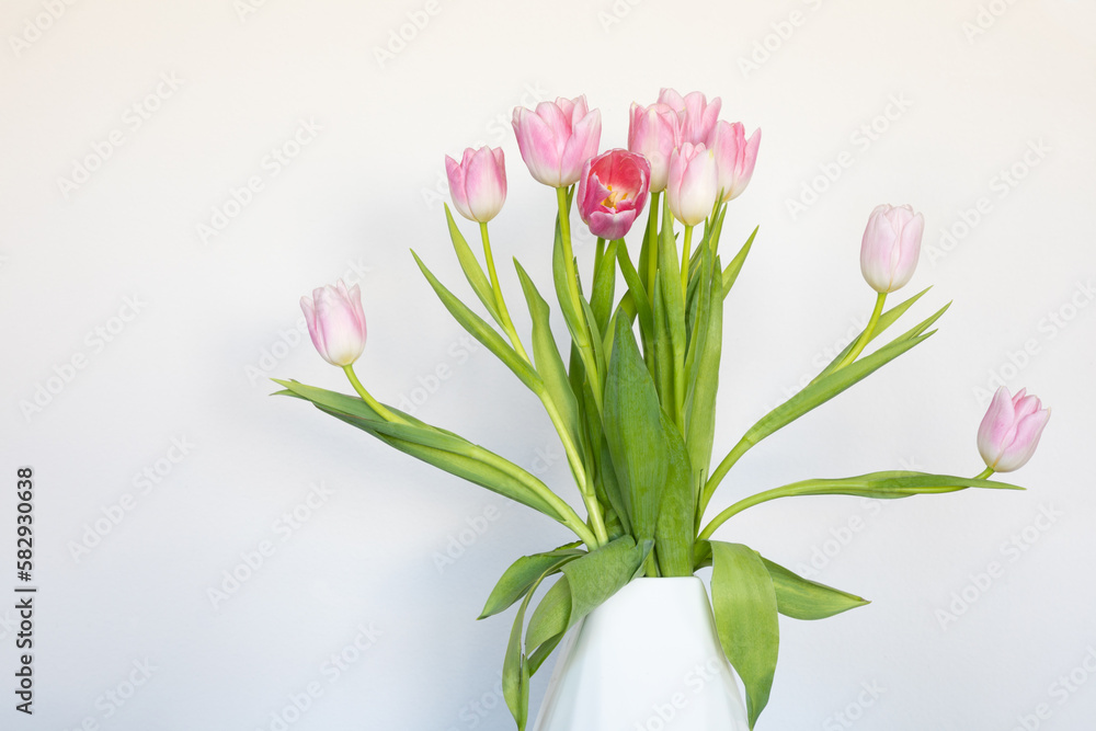 Pink tulips in white vase against white background
Pink tulips in white vase against white background