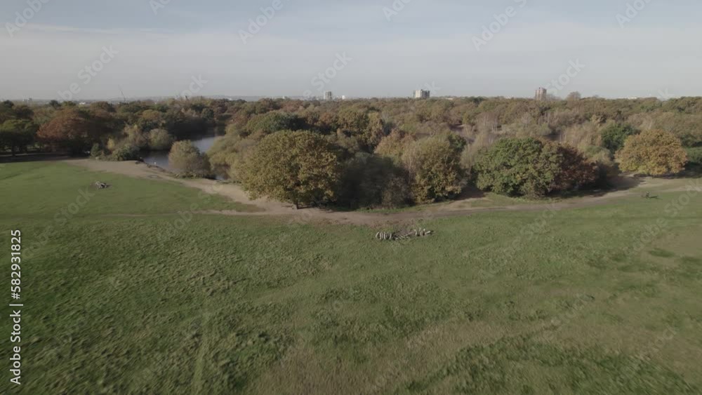 Meadow and trees around water surface, romantic walks around lake Meadow and trees around water surface, romantic walks around lake