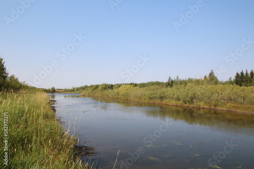 Summer On The Wetlands, Pylypow Wetlands, Edmonton, Alberta