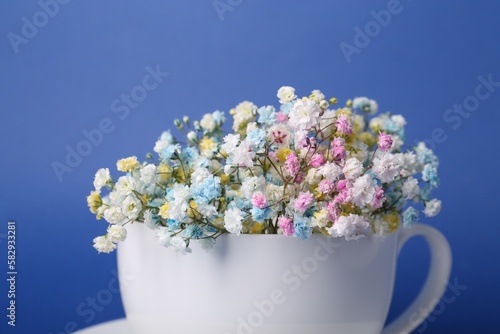 Wallpaper Mural Beautiful gypsophila flowers in white cup on blue background, closeup Torontodigital.ca