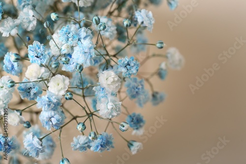 Beautiful gypsophila flowers on beige background, closeup. Space for text