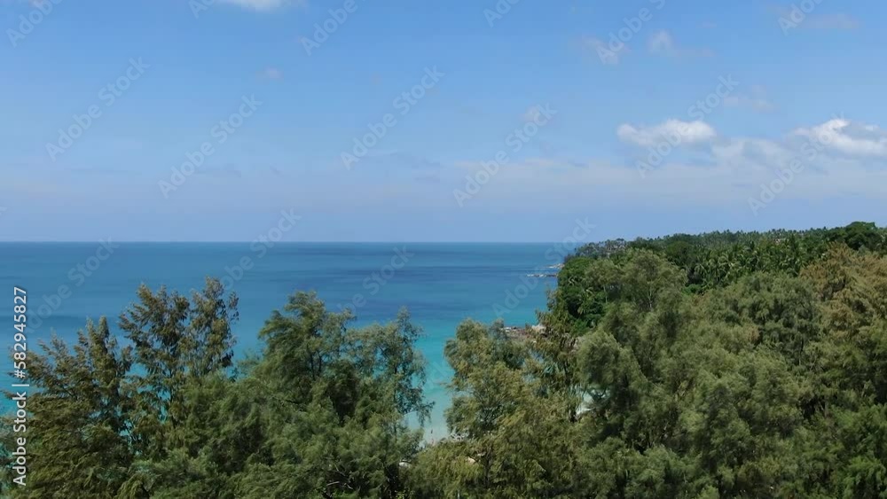 High Angle View Of Trees By Sea High Angle View Of Trees By Sea