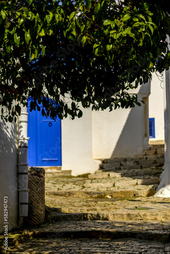Balade à Sidi Bou Saïd en Tunisie © patrick