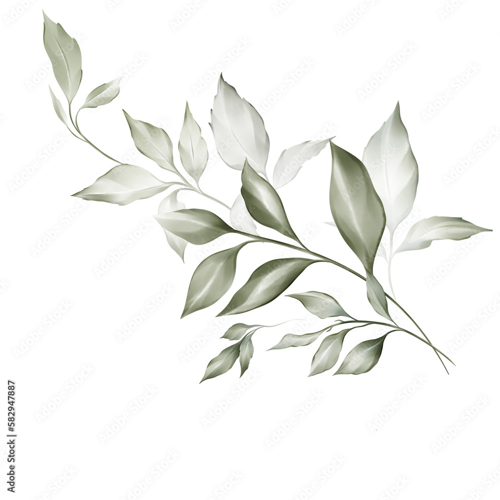 Botanical composition with foliage flowers on a white background. 