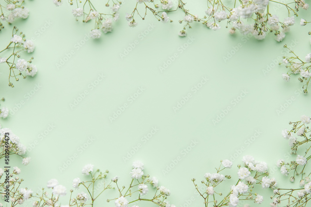 White gypsophila flowers or baby's breath flowers  on green  background.