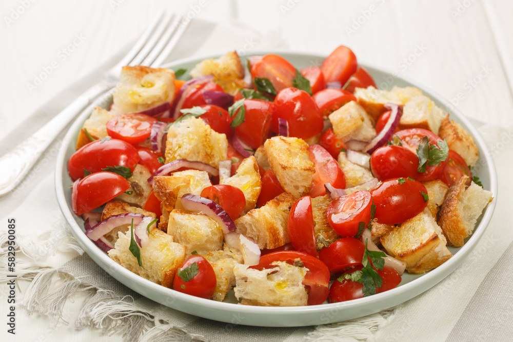 Summer Bread and tomato Salad Apulian Acquasala closeup on the plate on the table. Horizontal Summer Bread and tomato Salad Apulian Acquasala closeup on the plate on the table. Horizontal