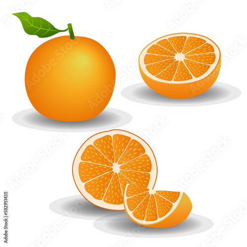 orange vector illustration. Fruits, slices, oranges. Fresh fruit background isolated on white background.