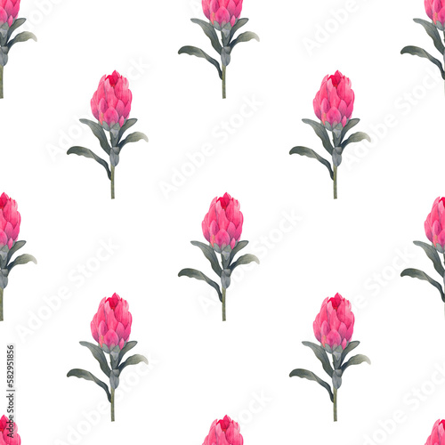 Watercolor seamless pattern with magenta protea, floral background blooming flowers and protea leaves. Print for fabric, textile, roll wallpaper, design, backgrounds, textures, digital paper