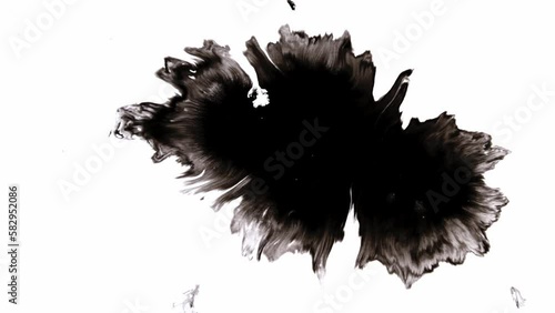 White Ink Drops Falling on Black Background. Abstract Art Black Ink Splatter on White