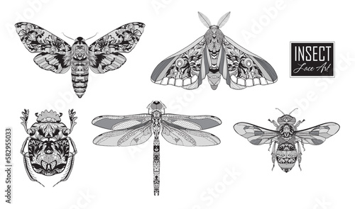 nsects. beetle, moth, dragonfly, bee. Vector illustration.