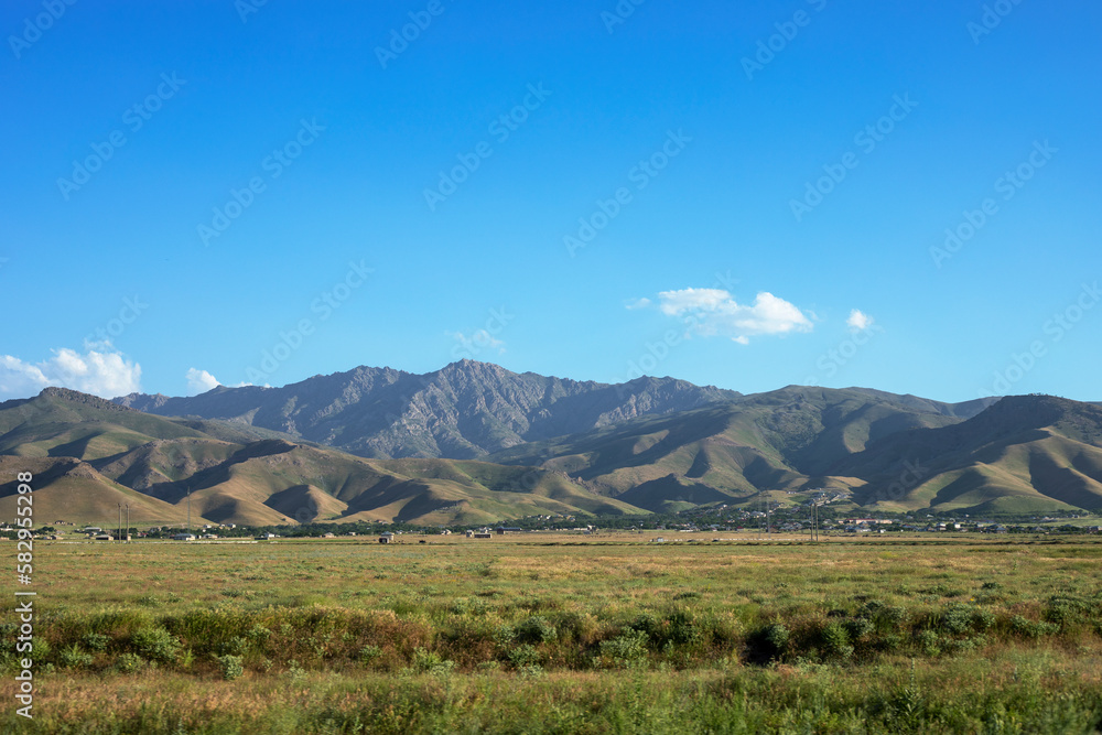 Vegetation in the hot climate of the steppe Vegetation in the hot climate of the steppe