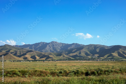 Vegetation in the hot climate of the steppe photo