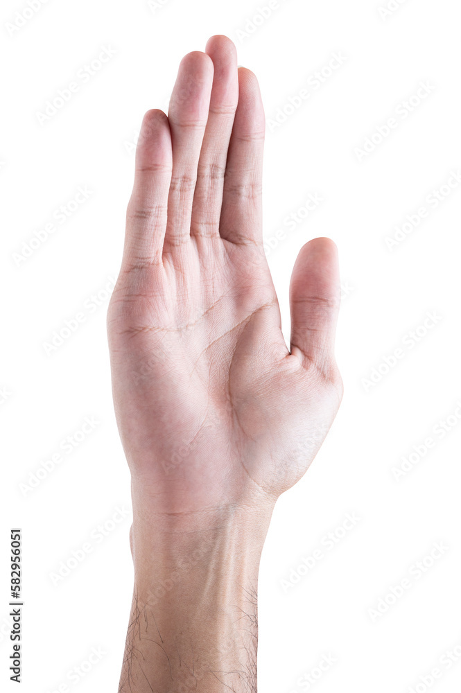 Male hand reach and ready to help or receive. Gesture isolated on white background. Male hand reach and ready to help or receive. Gesture isolated on white background.