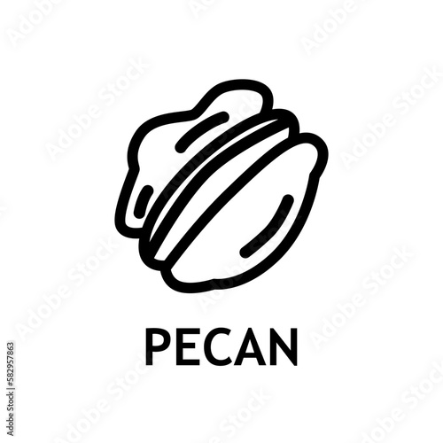 Healthy pecan icon. Vegetarian or vegan ingridient for diet. Nature snack. Delicious nut for logo.