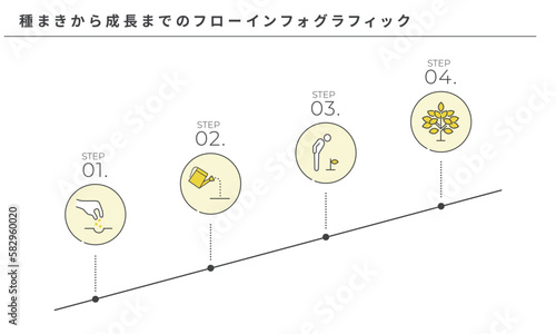 種まきから成長までのフローインフォグラフィック、シンプルなラインアイコン、ベクター