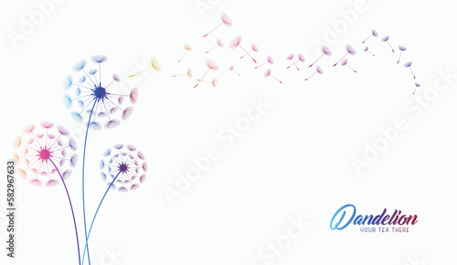 Abstract background of a dandelion for design. The wind blows the seeds of a dandelion.  Vector illustration