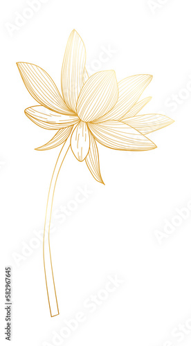 Tropical lotus flower gold line art