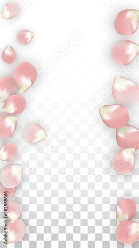 Pink Vector Realistic Petals Falling on Transparent Background. Spring Romantic Flowers Illustration. Flying Petals. Sakura Spa Design. Blossom Confetti. Design Elements for Wedding Decoration.