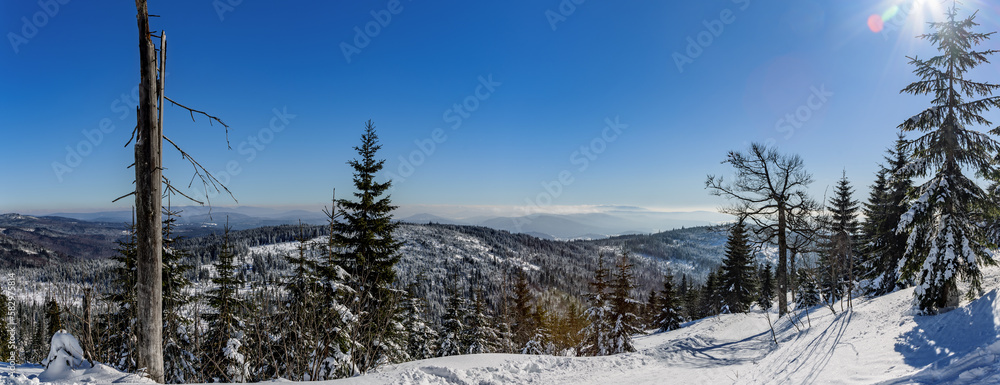Winter landscape on the top of the Lusen mountain in the Bavarian Forest, Bavaria, Germany.
