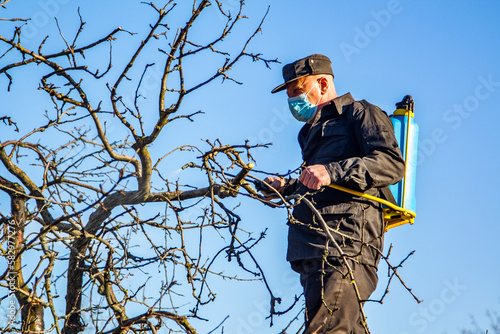 a man sprays trees against pests in the spring. Farmer man spraying tree with manual pesticide sprayer against insects in spring garden. Agriculture and gardening