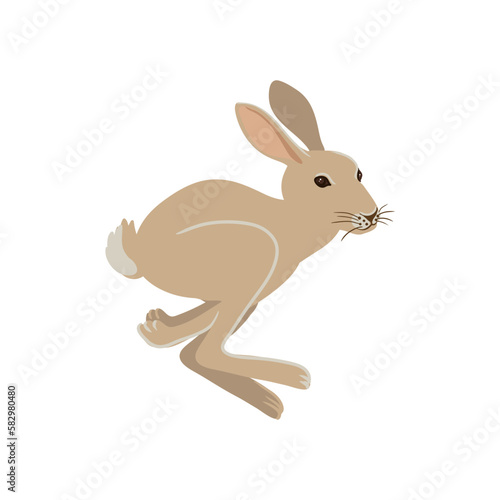 vector drawing hare  jumping rabbit  hand drawn animal isolated at white background   cartoon style character