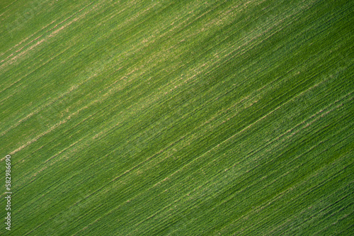 Large green lawn top view. Natural green background. Green lawn air view.