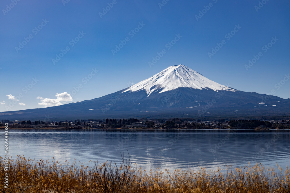 春の富士山　河口湖から③