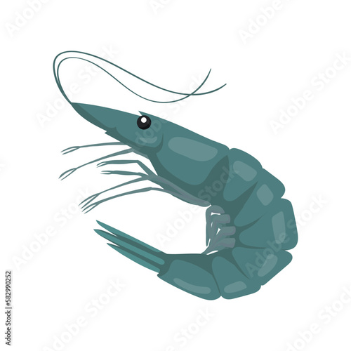 Live green shrimp icon. Shrimp cartoon illustration. Shrimp in wildlife, reserves, sea food