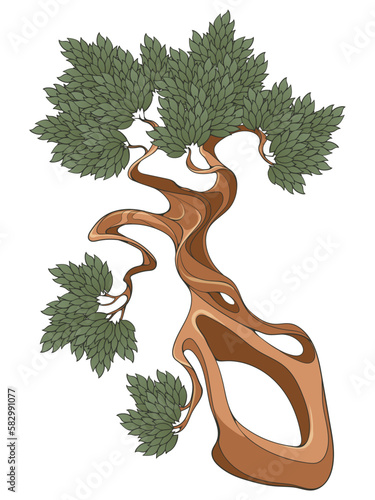 Twisted tree trunk with leaves. Bonsai. Decorative hand drawn design element. EPS10 vector illustration