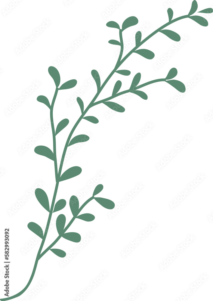 Leaf Illustration