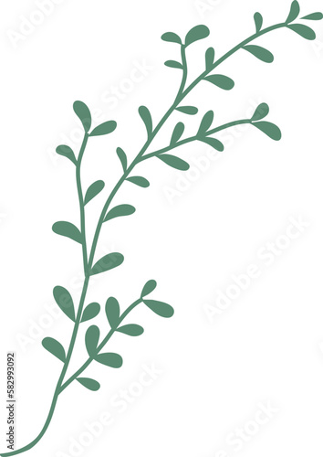 Leaf Illustration