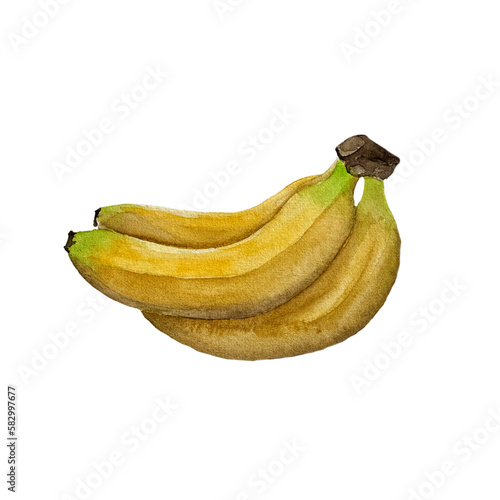Watercolor banana. Hand drawn, isolated on white background.