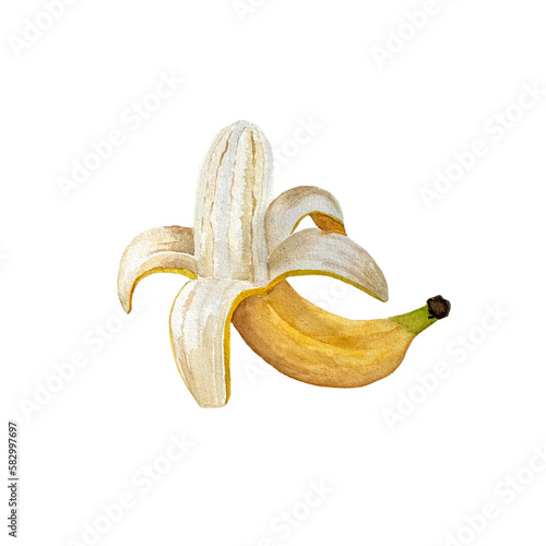 Watercolor banana. Hand drawn, isolated on white background.