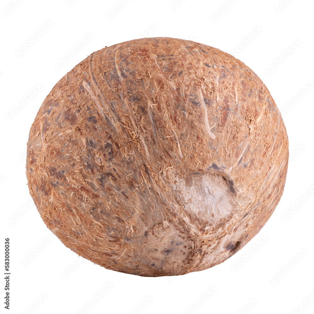 whole coconut isolated on a transparent background whole coconut isolated on a transparent background