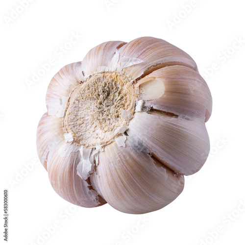 Close up raw garlic isolated on a transparent background